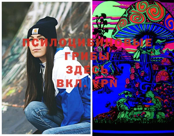 метадон Ладушкин