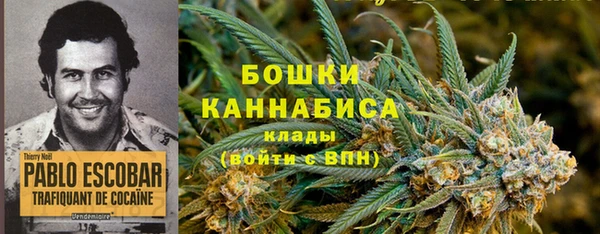 метадон Ладушкин