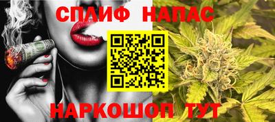 гидра Бийск