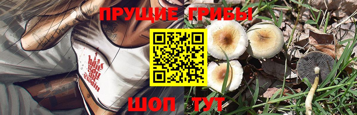 Псилоцибиновые грибы Magic Shrooms  Вход с VPN  Балаково  Галлюциногенные грибы Psilocybe 
