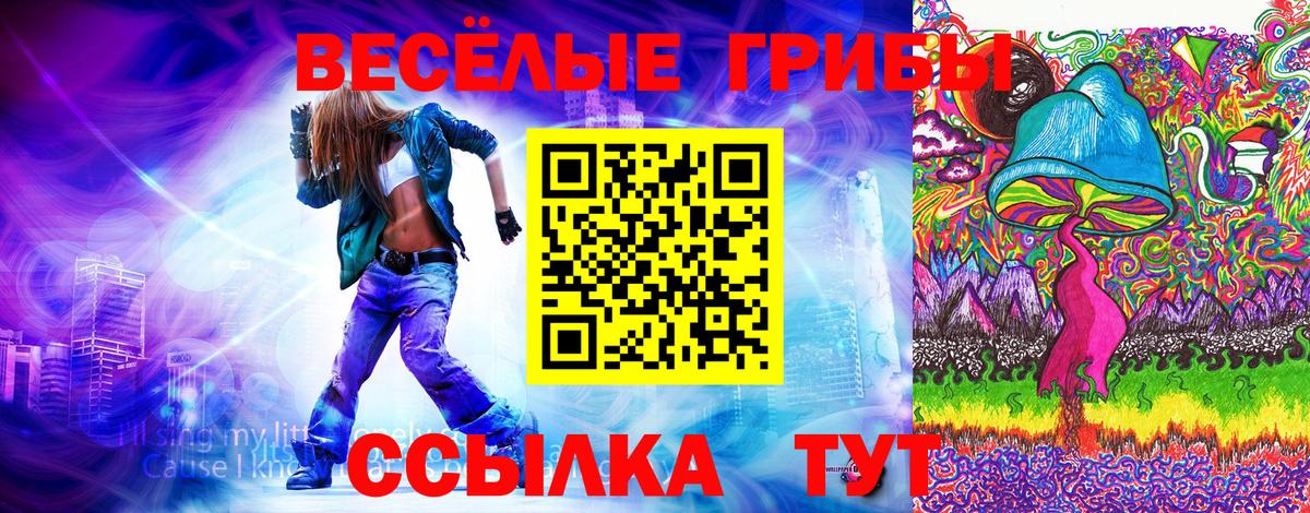 Галлюциногенные грибы прущие грибы Балаково
